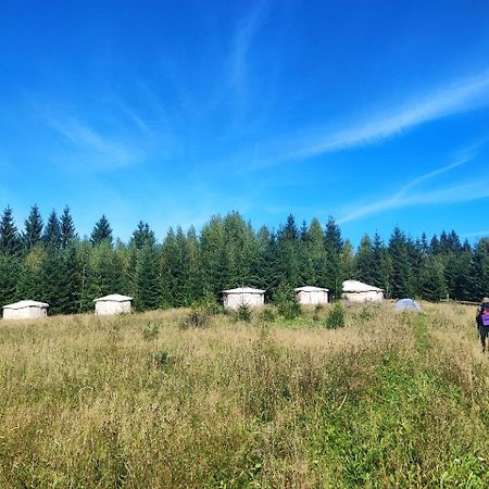 Eco Glamping - Carpathians. Retreat Hub Dzin Space Verkhovyna Εξωτερικό φωτογραφία