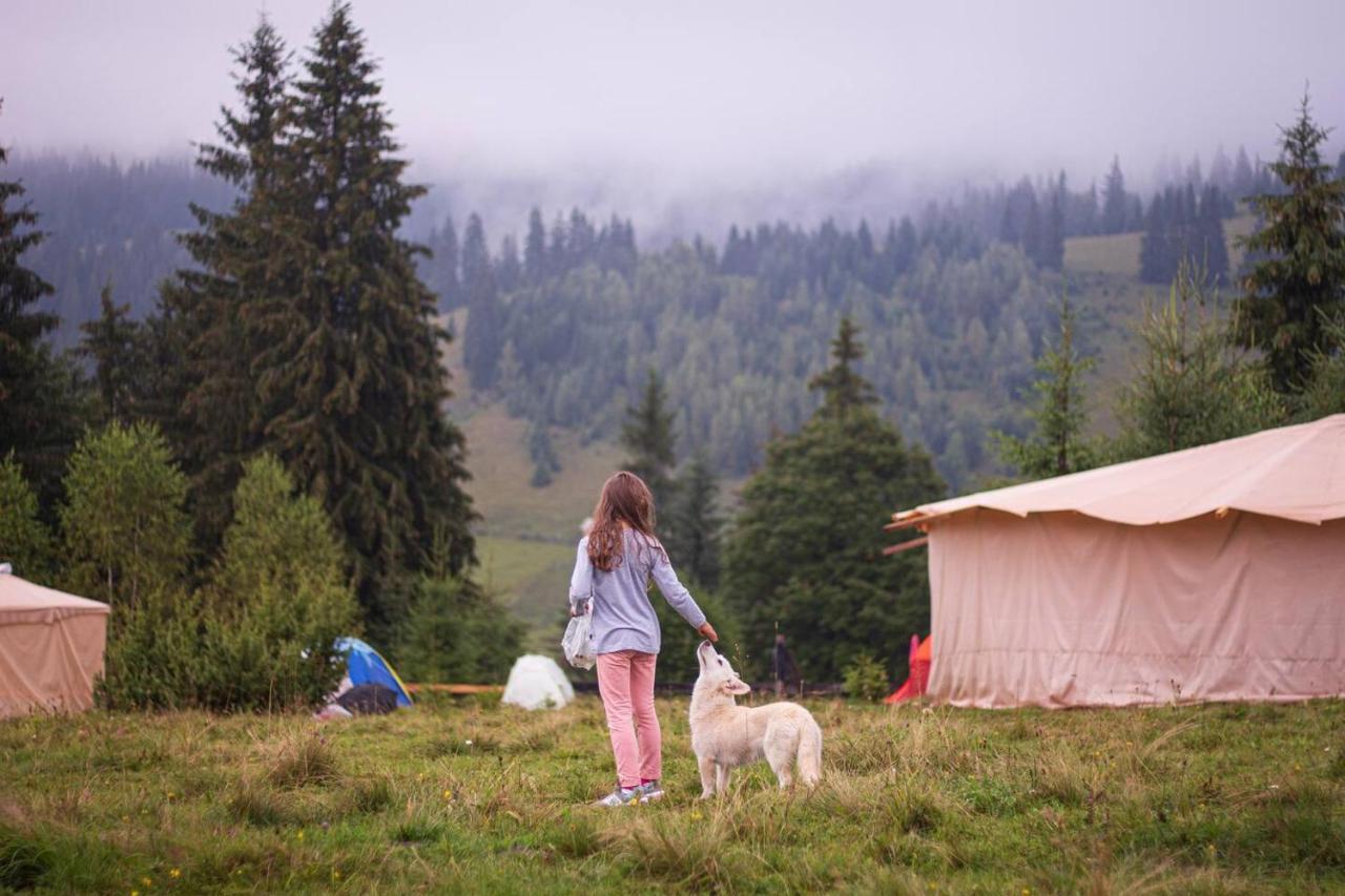 Eco Glamping - Carpathians. Retreat Hub Dzin Space Verkhovyna Εξωτερικό φωτογραφία