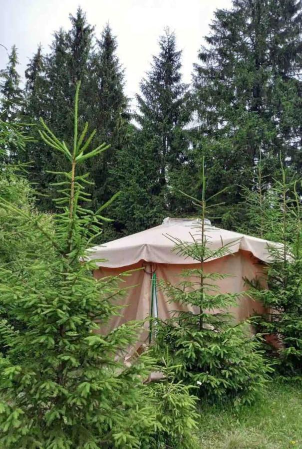 Eco Glamping - Carpathians. Retreat Hub Dzin Space Verkhovyna Εξωτερικό φωτογραφία