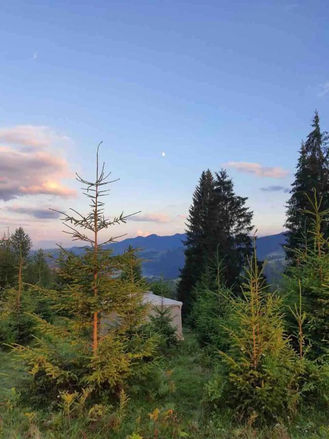 Eco Glamping - Carpathians. Retreat Hub Dzin Space Verkhovyna Εξωτερικό φωτογραφία