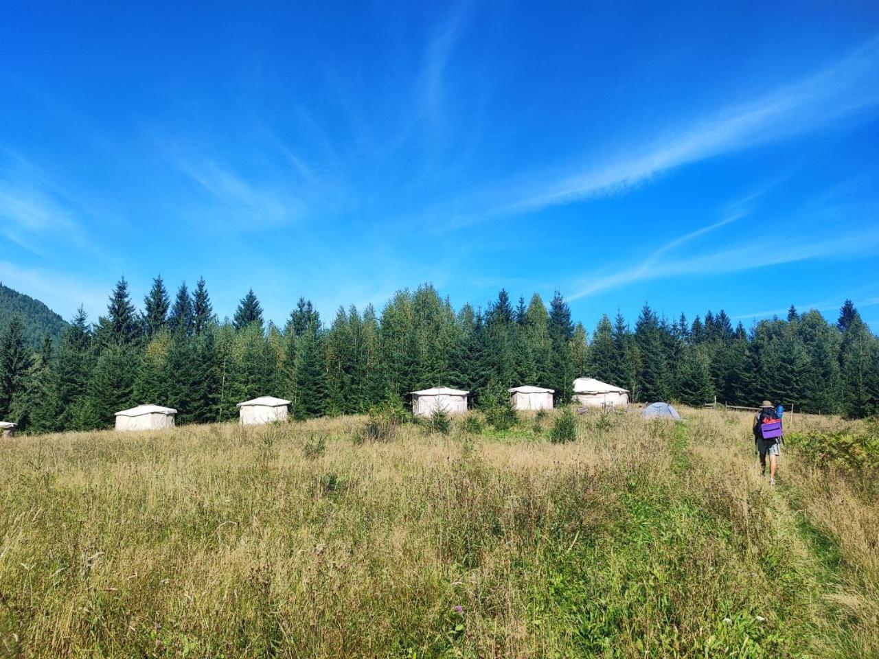 Eco Glamping - Carpathians. Retreat Hub Dzin Space Verkhovyna Εξωτερικό φωτογραφία